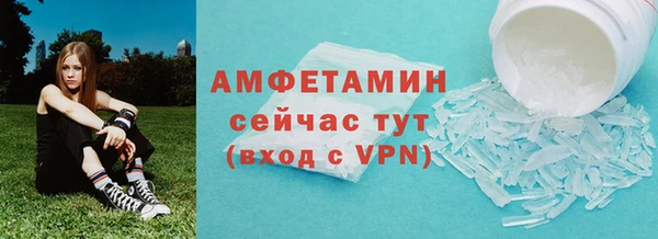 прущие грибы Краснотурьинск