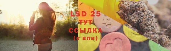 прущие грибы Краснотурьинск