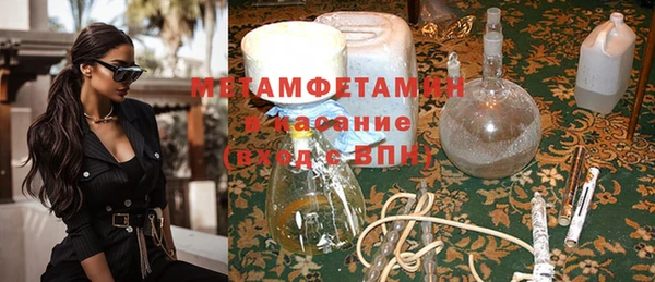 прущие грибы Краснотурьинск