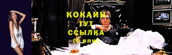кокс Краснослободск
