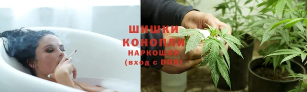 прущие грибы Краснотурьинск