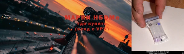 прущие грибы Краснотурьинск