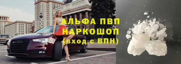 прущие грибы Краснотурьинск