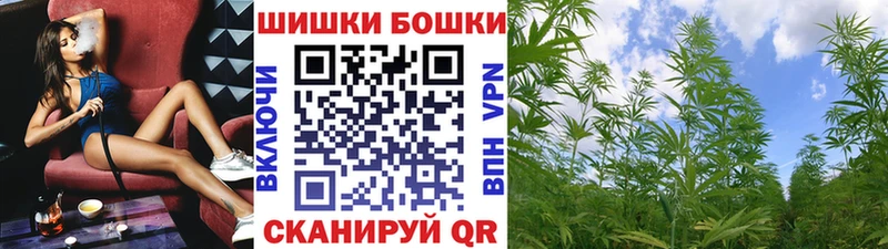 Бошки марихуана Amnesia  Купить закладки  Красноперекопск 